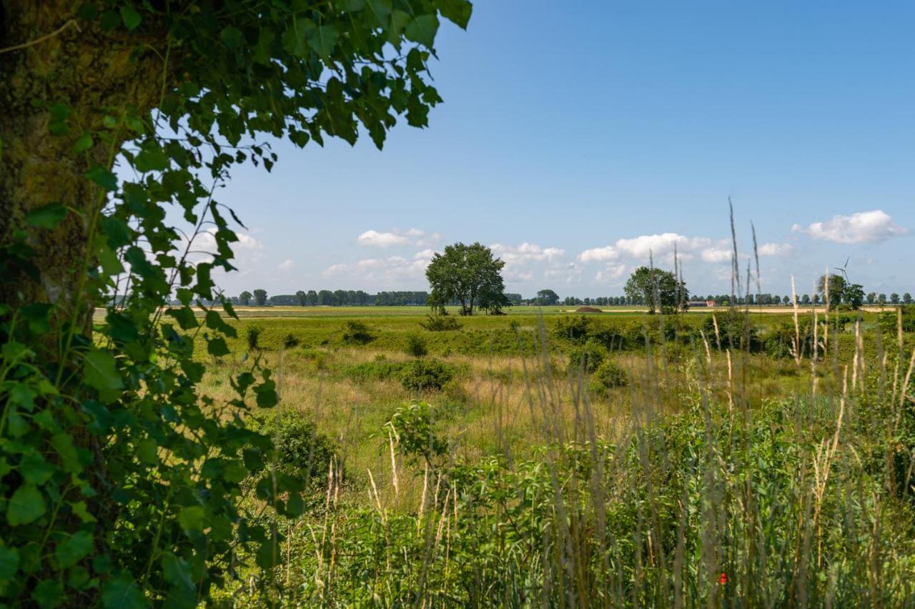 Grimaud 185 - Kustpark Village Scaldia Hoofdplaat Exteriér fotografie