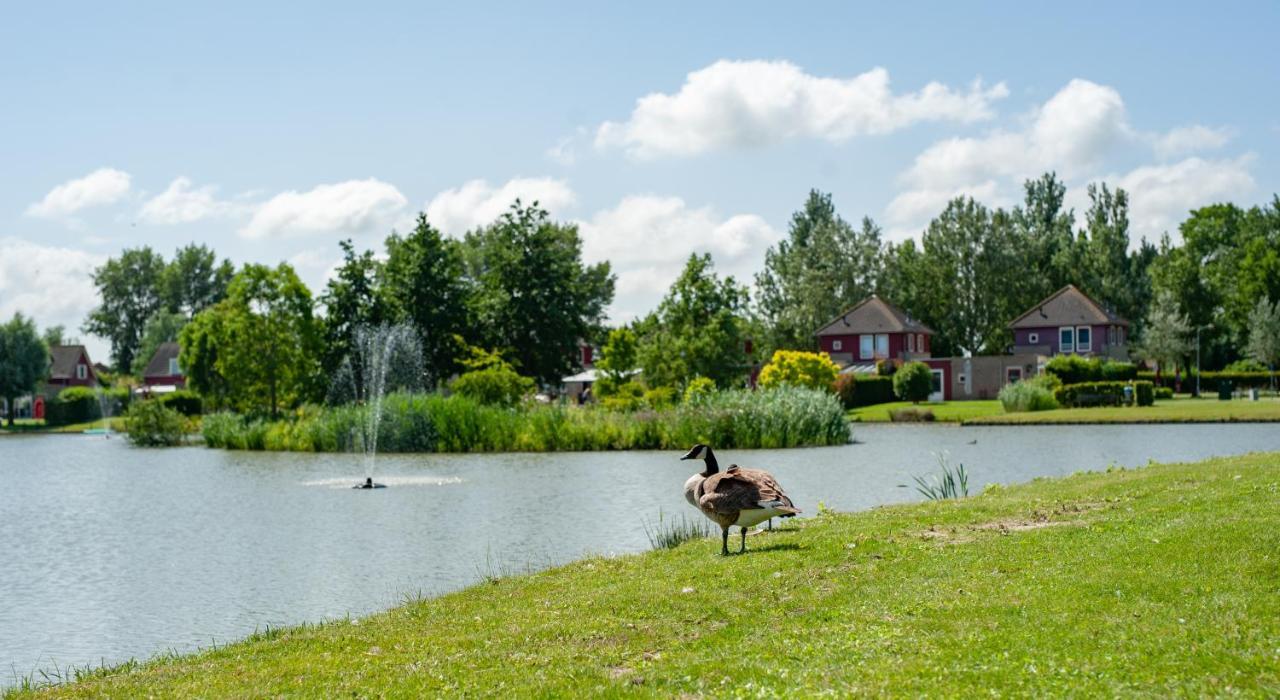 Grimaud 185 - Kustpark Village Scaldia Hoofdplaat Exteriér fotografie